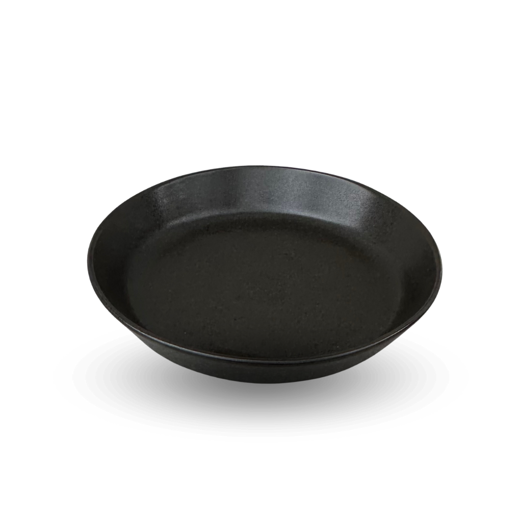 Carbon 10" Shallow Bowl