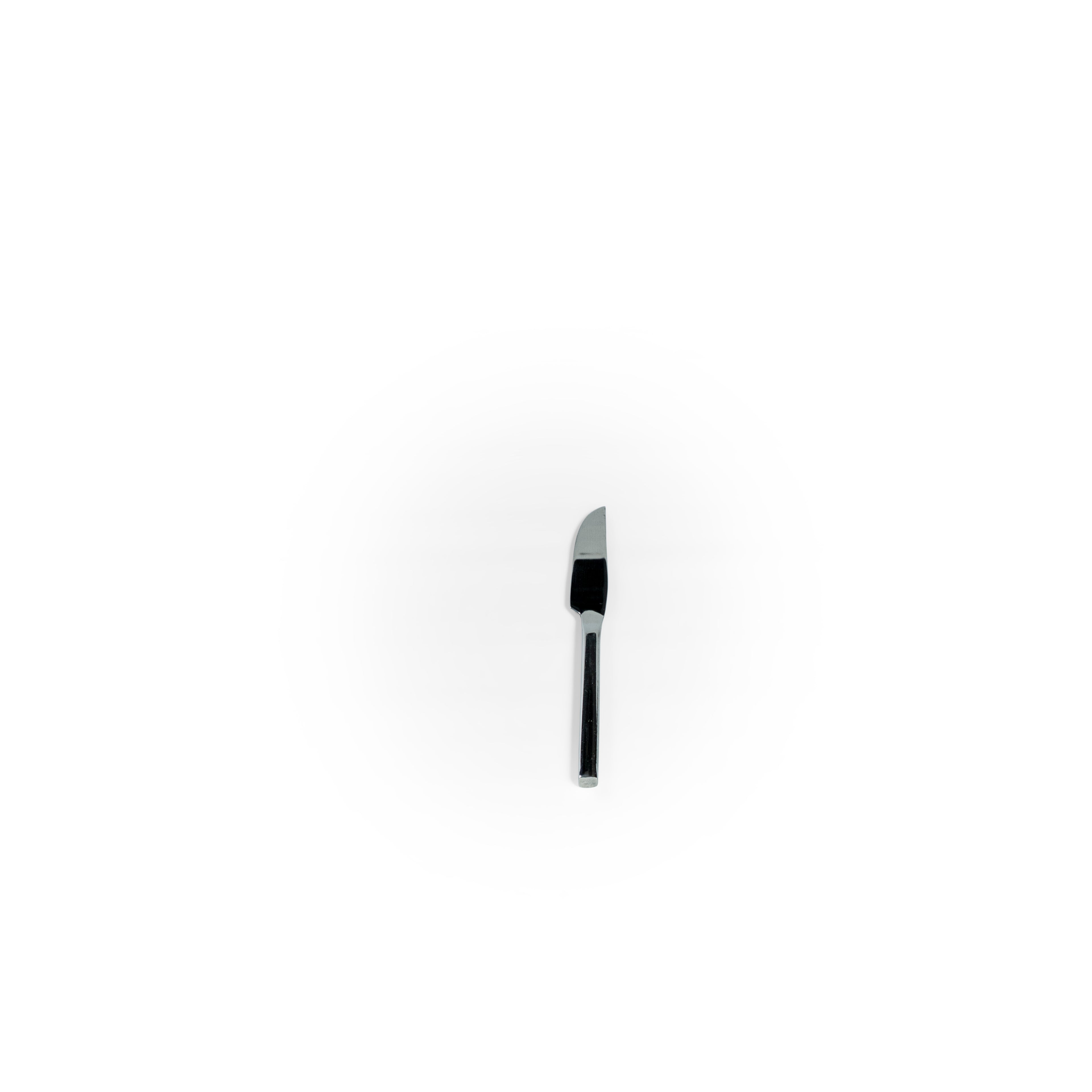 CS Steak Knife