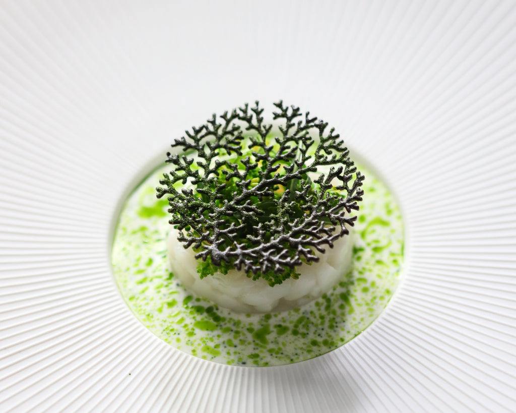 Coral Tuille Mold