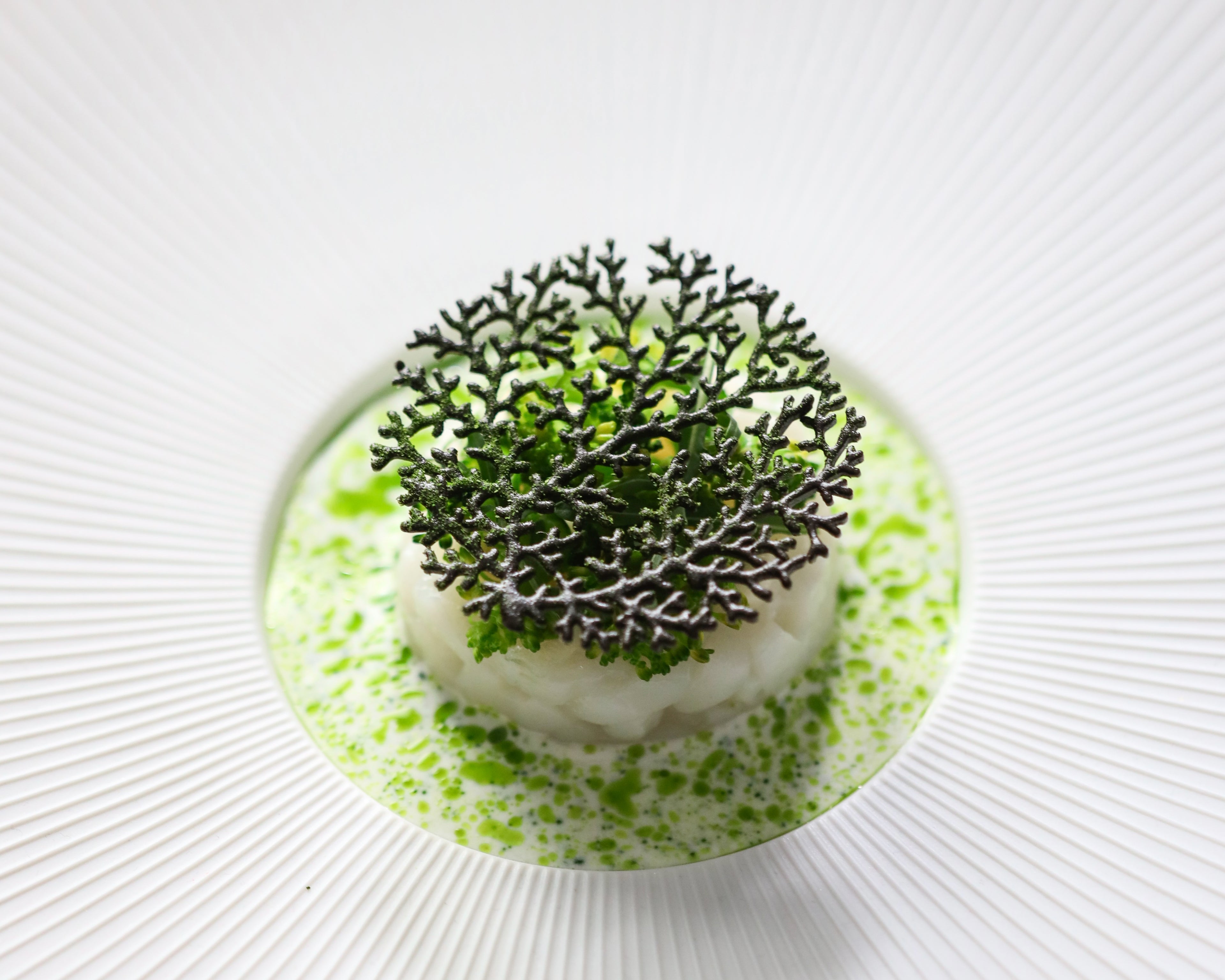 Coral Tuille Mold