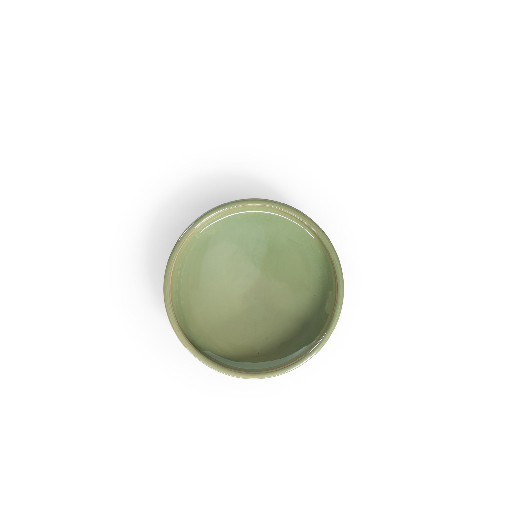 Moss 9" Shallow Bowl