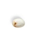 Organic 3.5" Ramekin