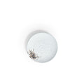Nest 6" Side Plate