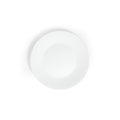 Modern Banquet 12" Dinner Plate