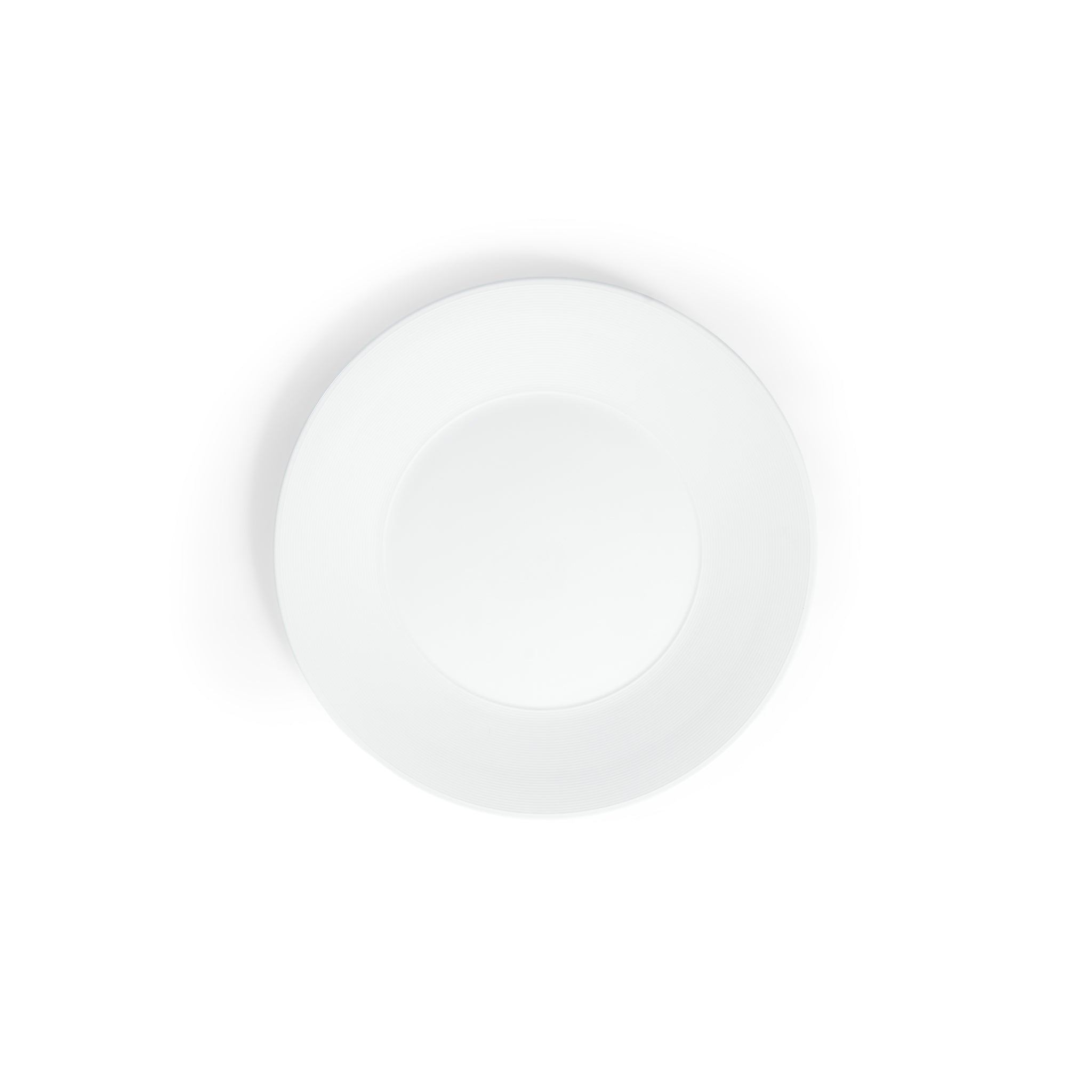 Modern Banquet 12" Dinner Plate