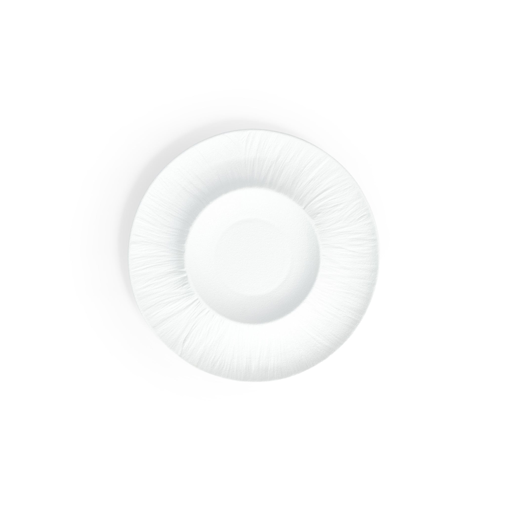Matte White 9.8" Urchin Plate