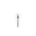 CS Dessert Fork
