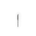 CS Steak Knife